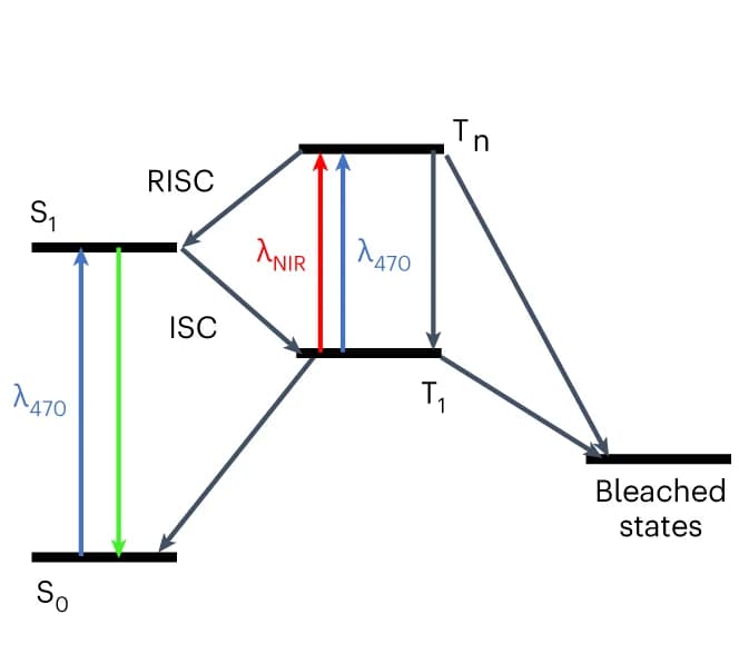 Open access visualization of Workflow, Flowchart, Illustration, Photophysical model, Triplet state