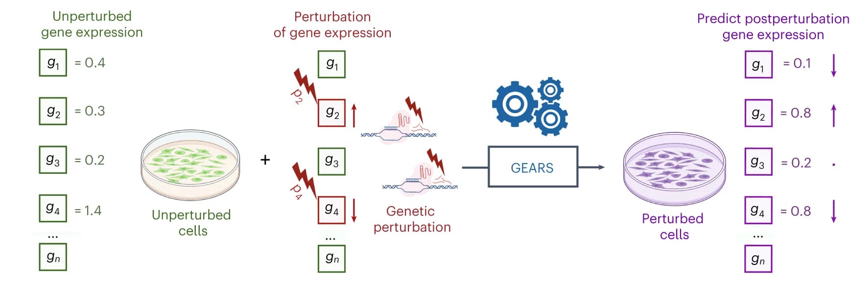Open access visualization of Workflow, Illustration, Gene Expression, Perturbation, Prediction