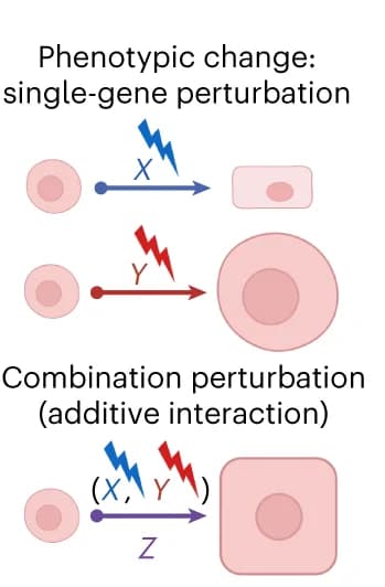 Open access visualization of Workflow, Flowchart, Illustration, Gene, Perturbation