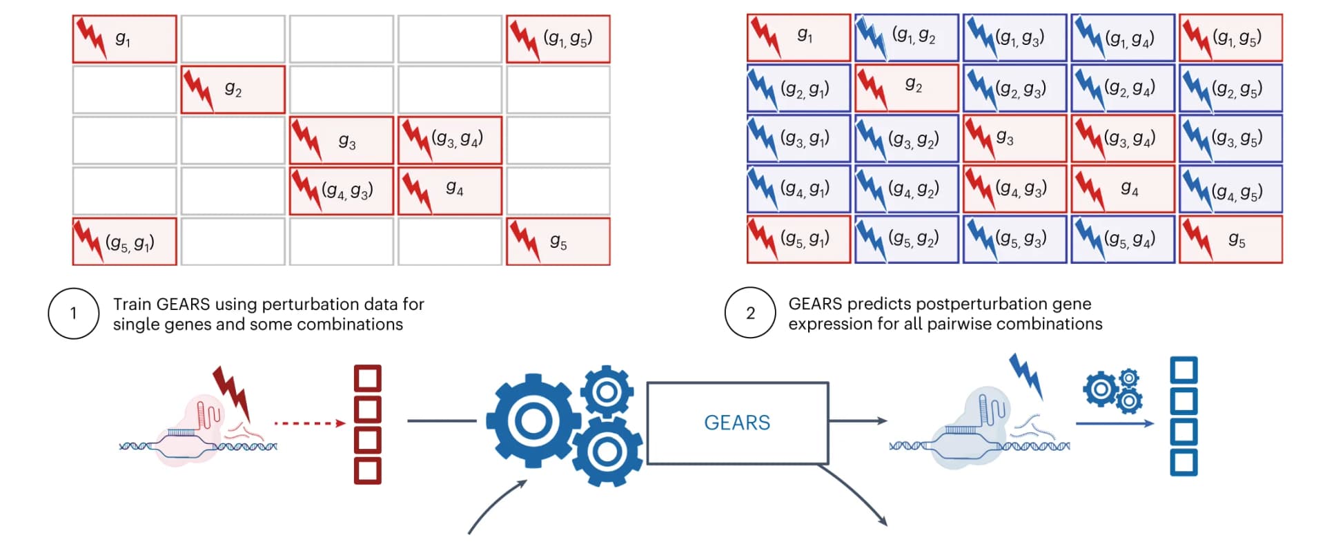 Open access visualization of Workflow, Illustration, Combinatorial Perturbation, Genes