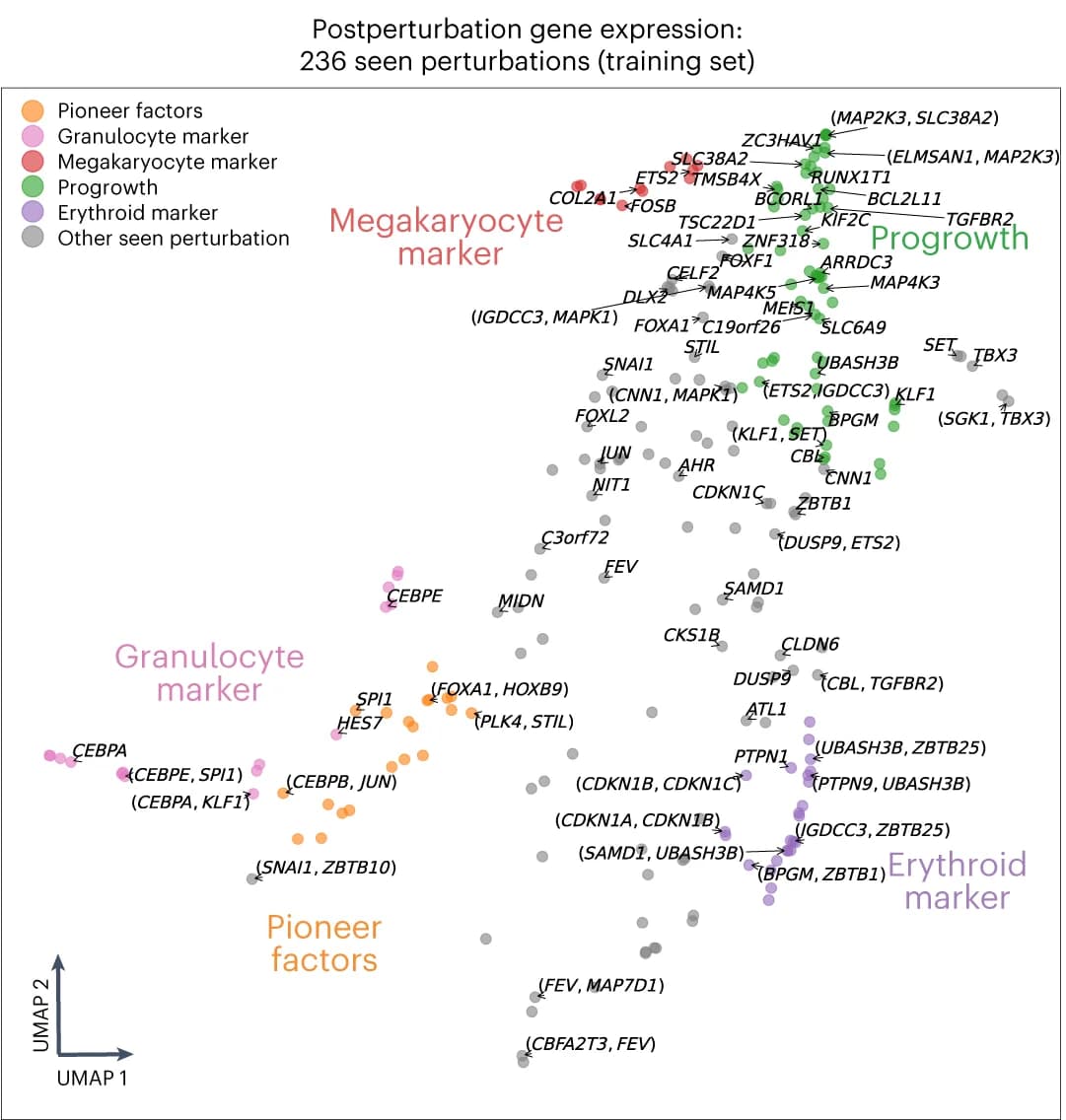 Open access visualization of Scatter Plot, UMAP, Gene Expression, Perturbation, Low-Dimensional Representation