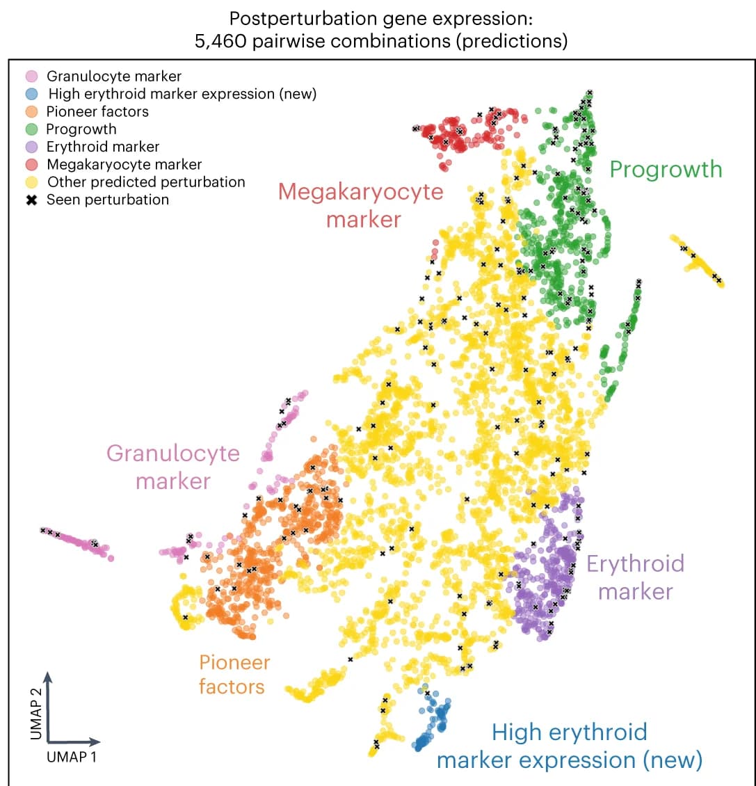 Open access visualization of Scatter Plot, UMAP, Gene Expression, Phenotypes, Leiden Clusters