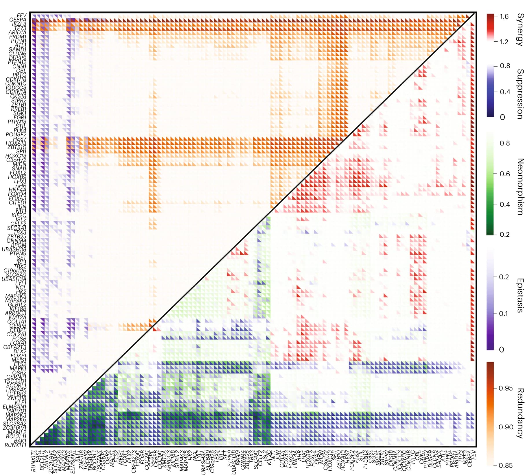 Open access visualization of Heatmap, Genetic Interaction Map, GEARS, Gene Perturbation, Synergy