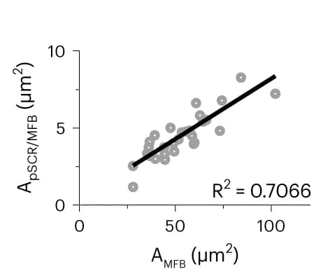 Open access visualization of Scatter Plot, Regression Plot, Surface Area, Linear Regression