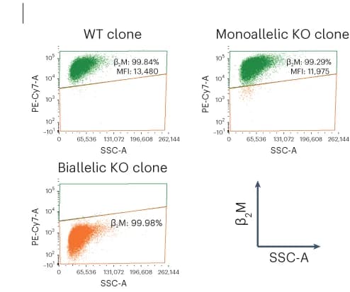 Open access visualization of Scatter Plot, Flow Cytometry Plots, B Lymphoblastoid Clones, Wild-Type, Monoallelic Editing