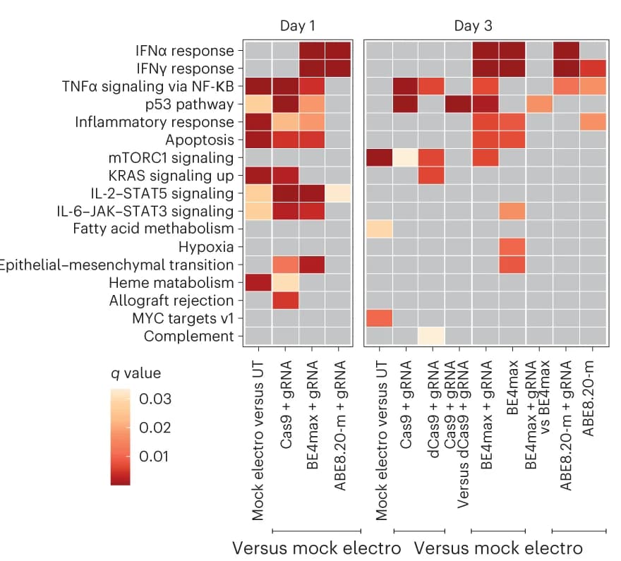 Open access visualization of Heatmap, Heat Map, Enriched Categories, Upregulated Genes, dCas9