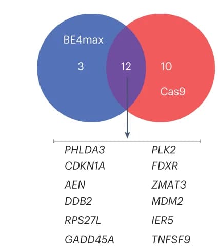 Open access visualization of Venn Diagram, p53 Target Genes, BE4max, Cas9