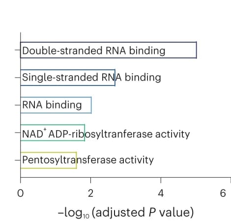 Open access visualization of Bar Plot, Adjusted P Values, Enriched Categories, Hallmark Gene Set, Enrichment Test