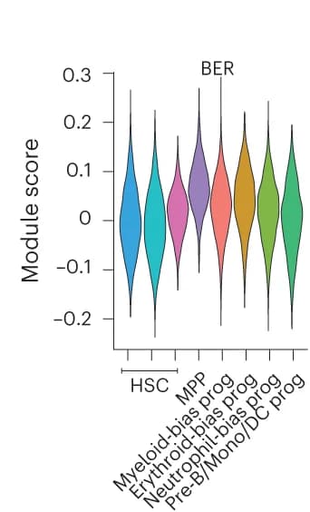 Open access visualization of Violin Plot, BER Pathway, HSPC Subsets, Multipotent Progenitors, Progenitors