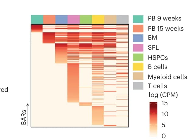 Open access visualization of Heatmap, Clustered, Heat Map, BARs, BE4max Mouse