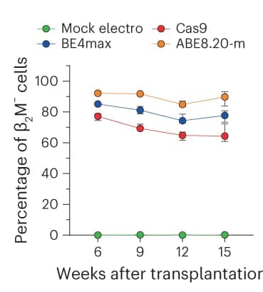 Open access visualization of Line Plot, Error Bars, Human Cell Engraftment, B2M- Cells, Human Grafts