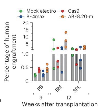 Open access visualization of Bar Plot, Scatter Plot, Error Bars, Human Cell Engraftment, B2M- Cells