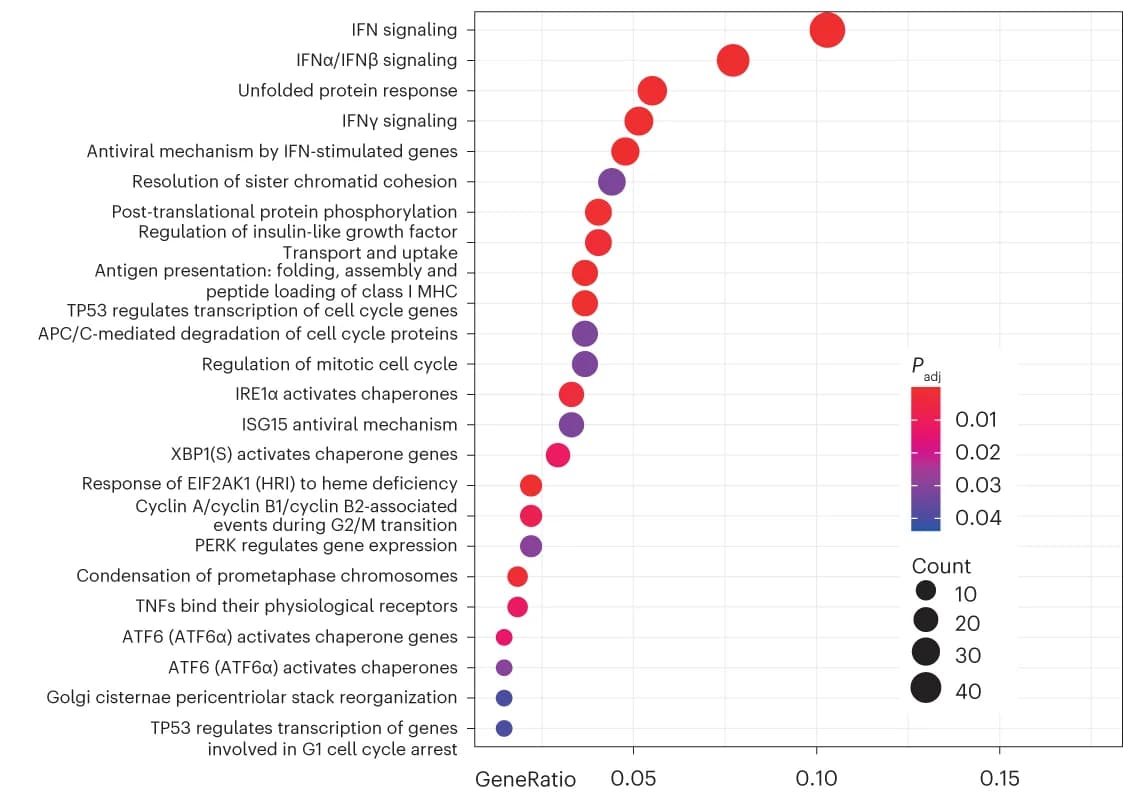 Open access visualization of Bubble Plot, Dot Plot, Enriched Categories, Upregulated Genes, PE3