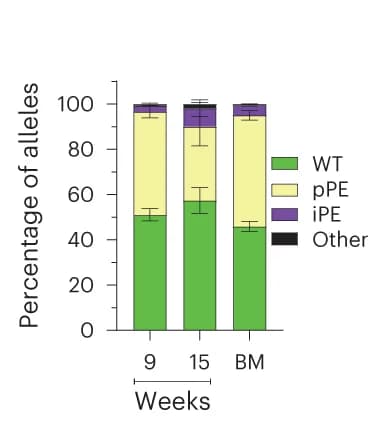 Open access visualization of Stacked Bar Plot, Error Bars, B2M Alleles, Deep Sequencing, Precise Prime Editing