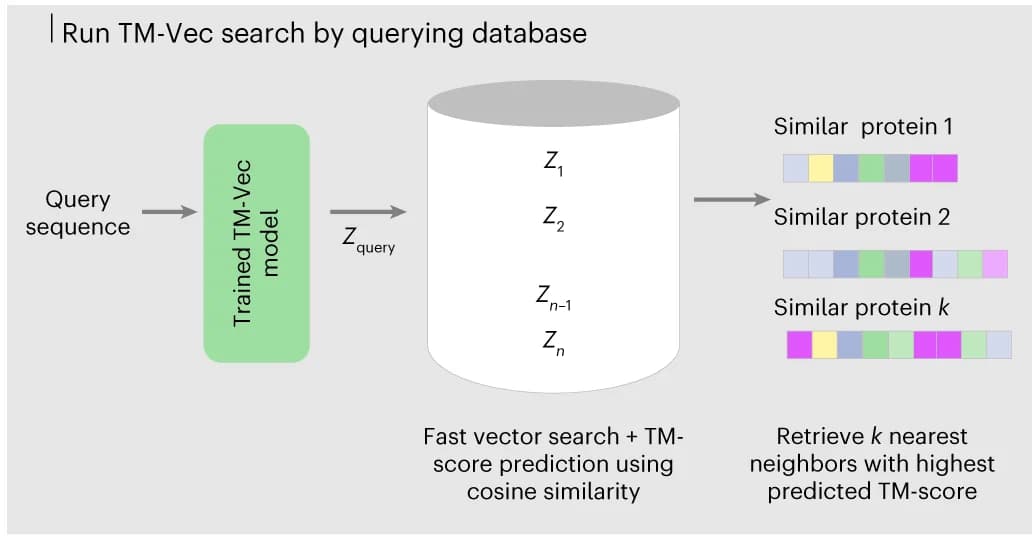 Open access visualization of Workflow, Flowchart, Illustration, Protein Structure Search, TM-Vec Pipeline