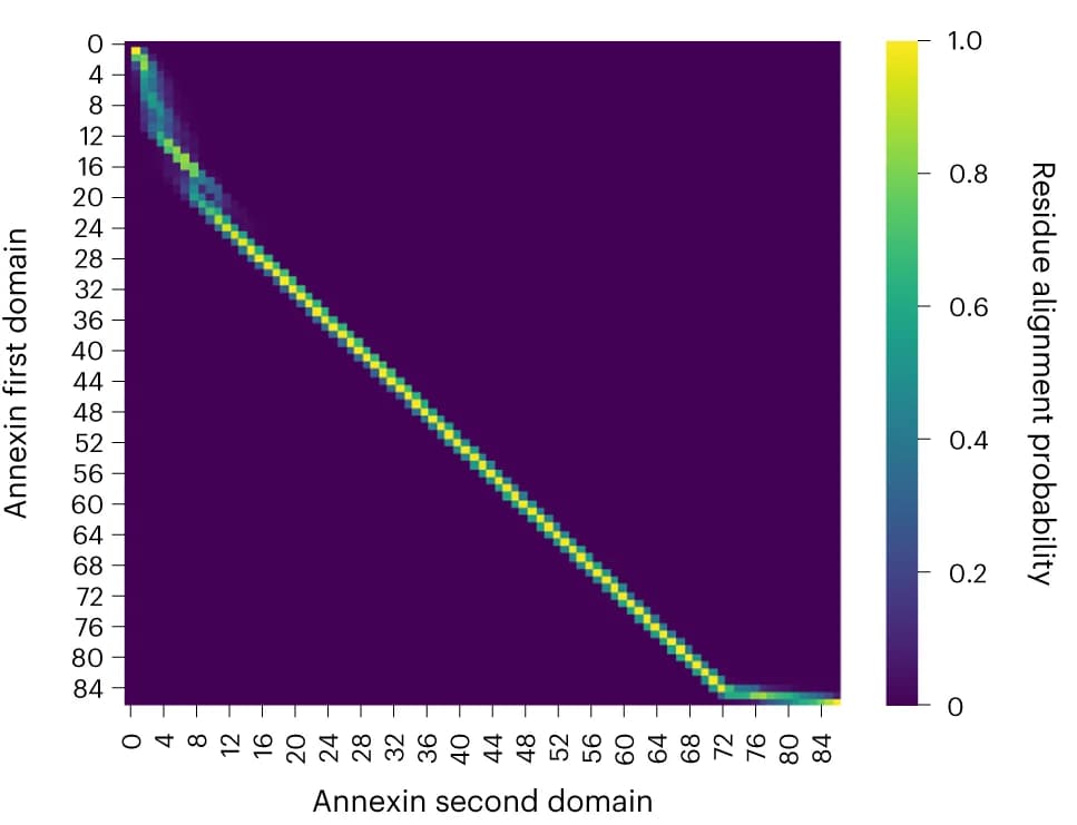 Open access visualization of Heatmap, Annexin Domains, Malidup, DeepBLAST, Needleman-Wunsch