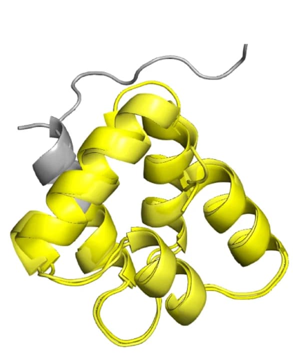 Open access visualization of Protein Structure, Malidup, DeepBLAST, Manual Structural Alignment