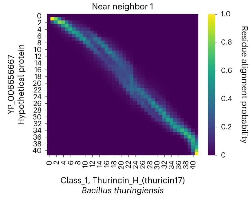 Open access visualization of Heatmap, DeepBLAST alignments, Bacteriocin, Nearest Neighbors, TM-Scores