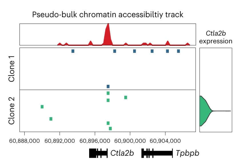 Open access visualization of Scatter Plot, Line Plot, Density Plot, Violin Plot, Browser Track