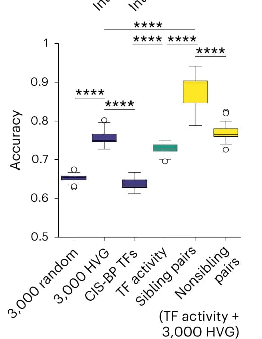 Open access visualization of Box Plot, Prediction Accuracy, State-Fate Prediction Models, Mann–Whitney–Wilcoxon Test, Highly Variable Genes