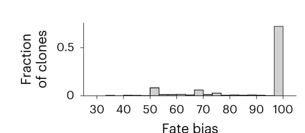 Open access visualization of Histogram, Fate Bias Scores, Clones, State-Fate