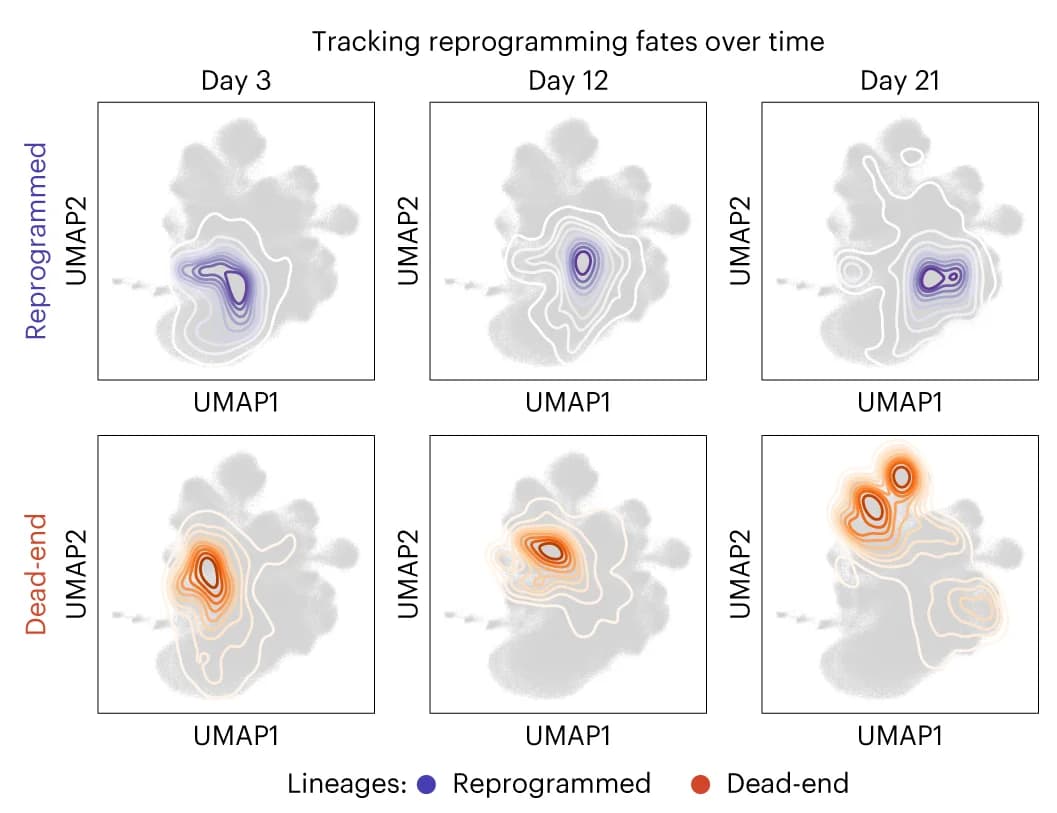 Open access visualization of UMAP, Scatter Plot, Density Plot, Contour Plots, Longitudinal Tracking