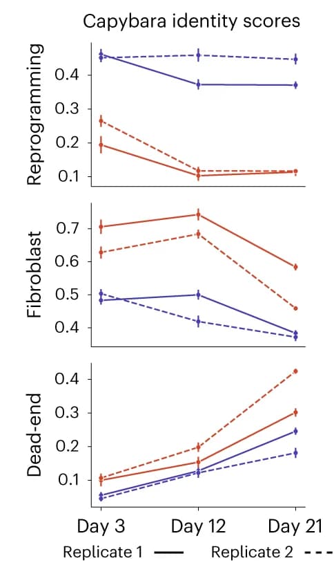 Open access visualization of Line Plot, Error Bars, Transcriptional Identity, Lineages, Dead-end Cells