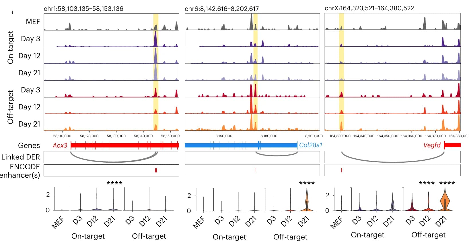 Open access visualization of Line Plot, Violin Plot, Accessibility browser, Lineage, Peaks