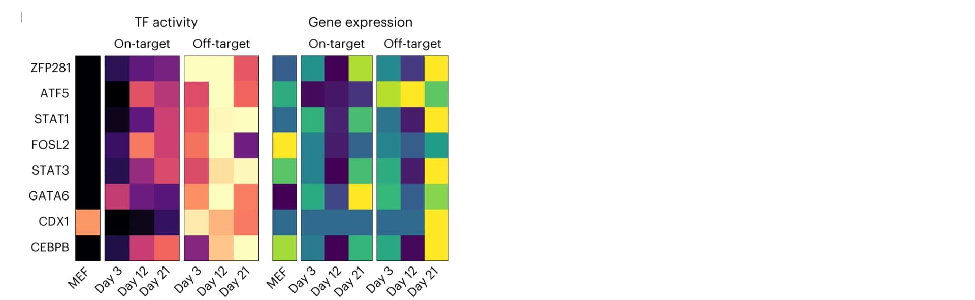 Open access visualization of Heatmap, TF activity, Gene expression, MEFs, Reprogramming