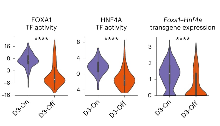 Open access visualization of Violin Plot, FOXA1 TF Activity, HNF4A TF Activity, Hnf4-Foxa1 Transgene Expression, Violin Plots