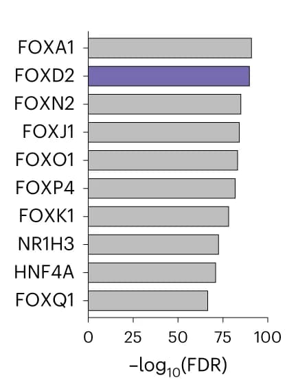 Open access visualization of Bar Plot, TF Activities, On-target Cells