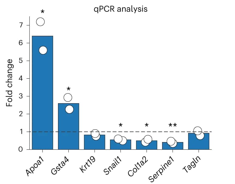 Open access visualization of Bar Plot, Error Bars, Reprogramming, Dead-end Marker Genes, TGF- Signaling Inhibition