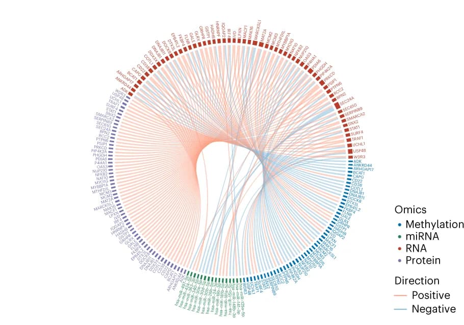 Open access visualization of Chord, Chord Plot, Reference Dataset, Cross-omics Feature Relationships, Positive Correlation