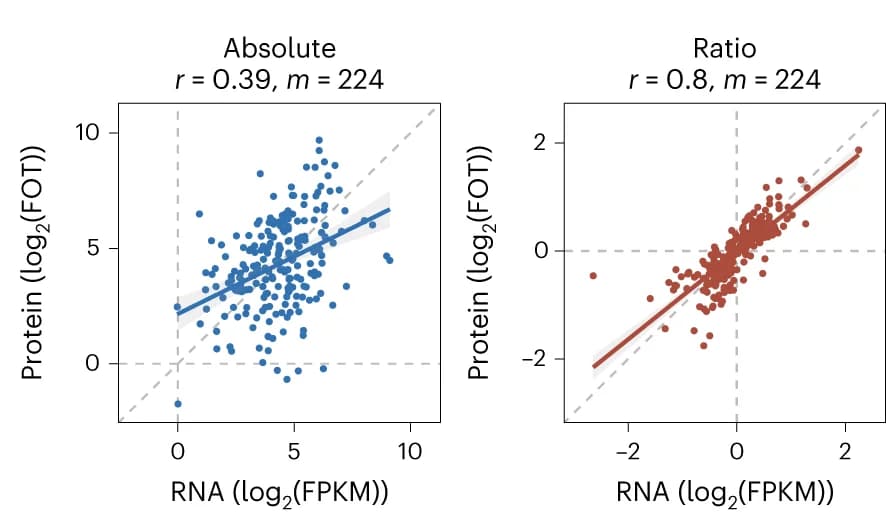 Open access visualization of Scatter Plot, Regression Plot, Scatterplots, Expression Abundance, RNA-protein Pairs