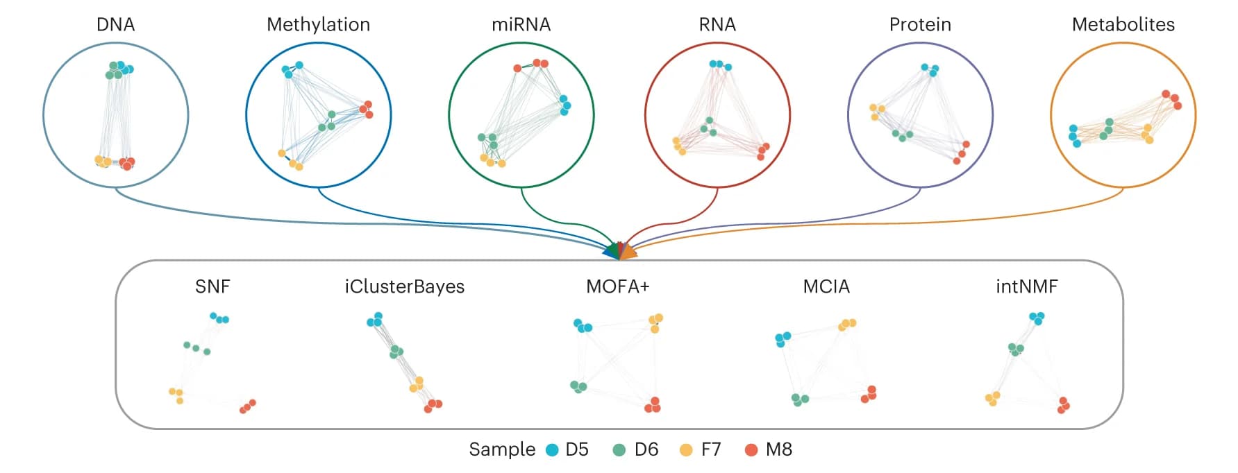 Open access visualization of Network, Scatter Plot, Omics Profiling, Sample Similarity Networks, Multi-Omics Data