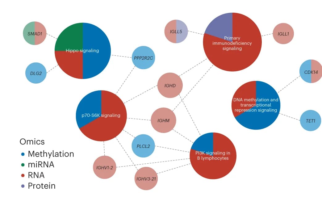 Open access visualization of Network, Pathway, Pie Chart, Enrichment Pathway Maps, Multi-Omics Features
