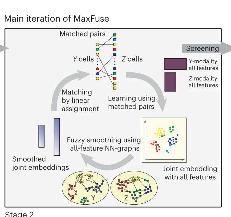 Open access visualization of Workflow, Scatter Plot, Bar Plot, Network, Matched Cell Pairs