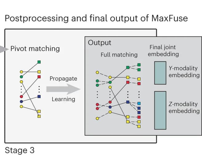 Open access visualization of Workflow, Illustration, Pivots, Refined Pivots, Cells