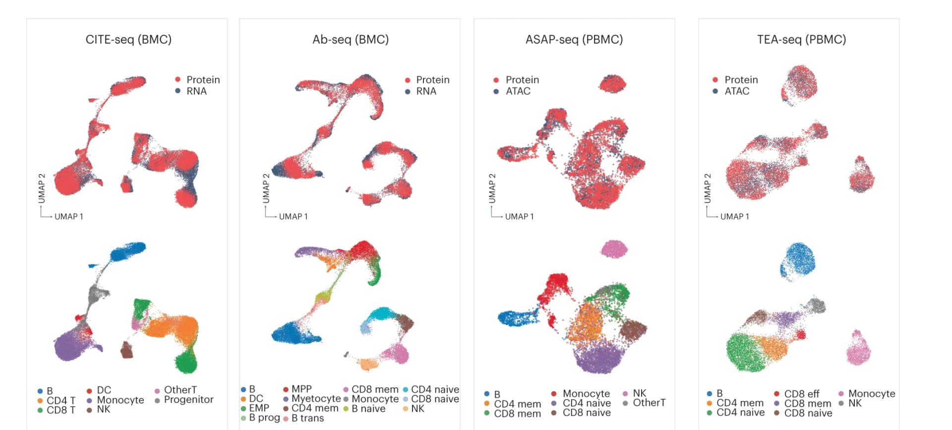 Open access visualization of Scatter Plot, UMAP, UMAP Visualization, MaxFuse Integration, Multiome Datasets