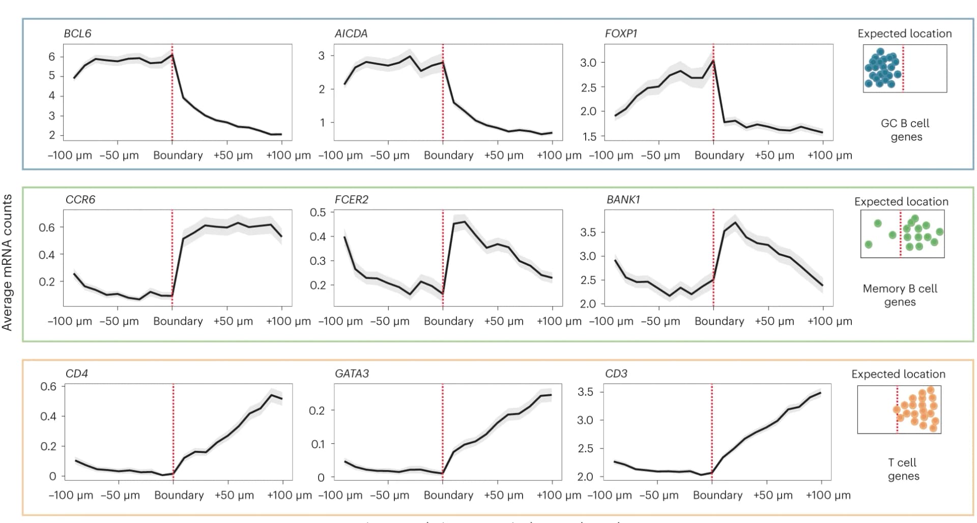 Open access visualization of Line Plot, Error Bars, mRNA Counts, MaxFuse, Cell Layers