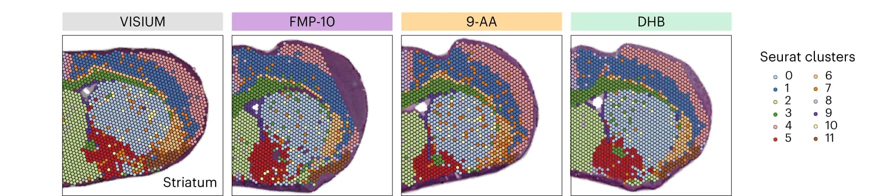 Open access visualization of Scatter Plot, Spatial Plot, Mouse Brain, Tissue Sections, MALDI Matrices