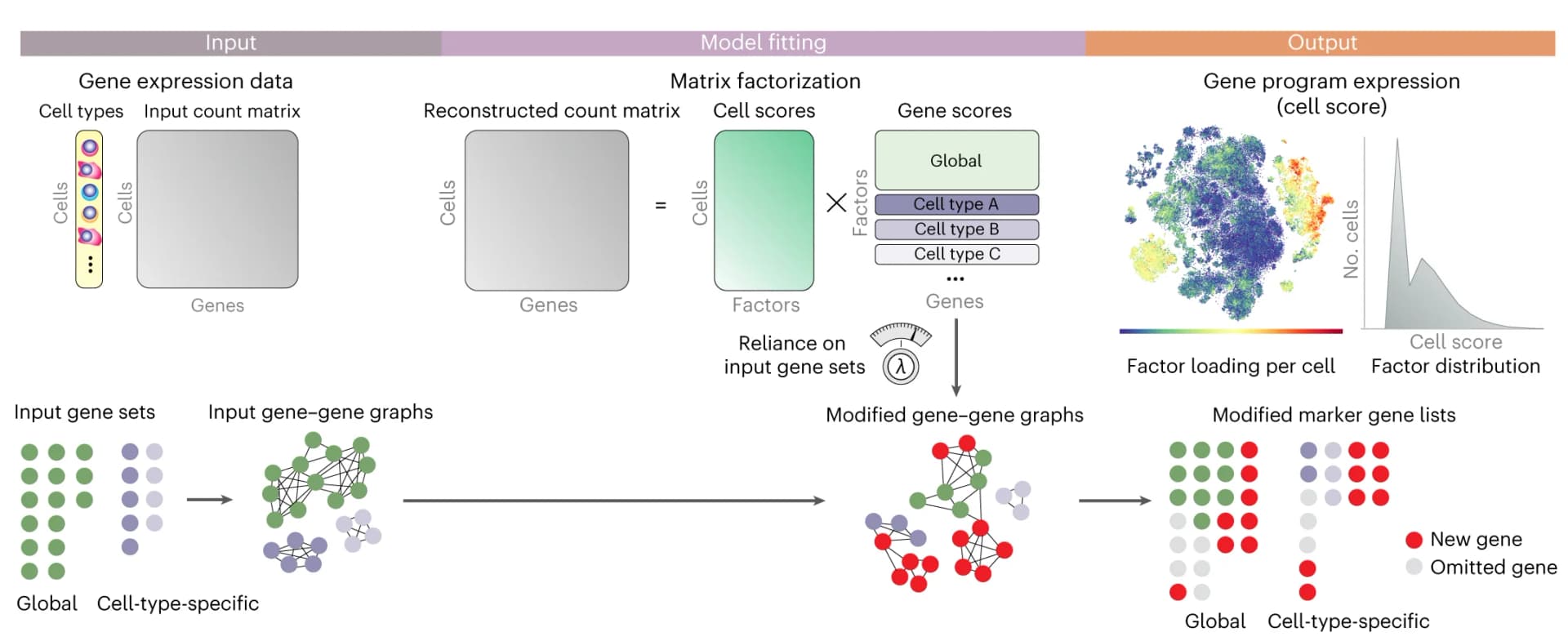 Open access visualization of Workflow, Illustration, UMAP, Density Plot, Network