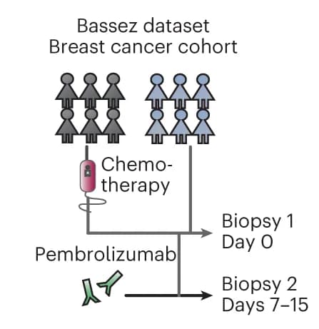 Open access visualization of Workflow, Flowchart, Illustration, Treatment, scRNA-seq