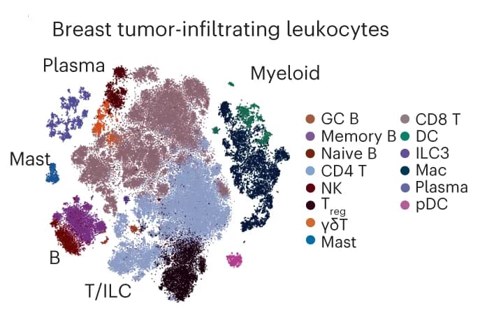 Open access visualization of Scatter Plot, UMAP, t-SNE, Tumor-infiltrating Leukocytes, Cell Type