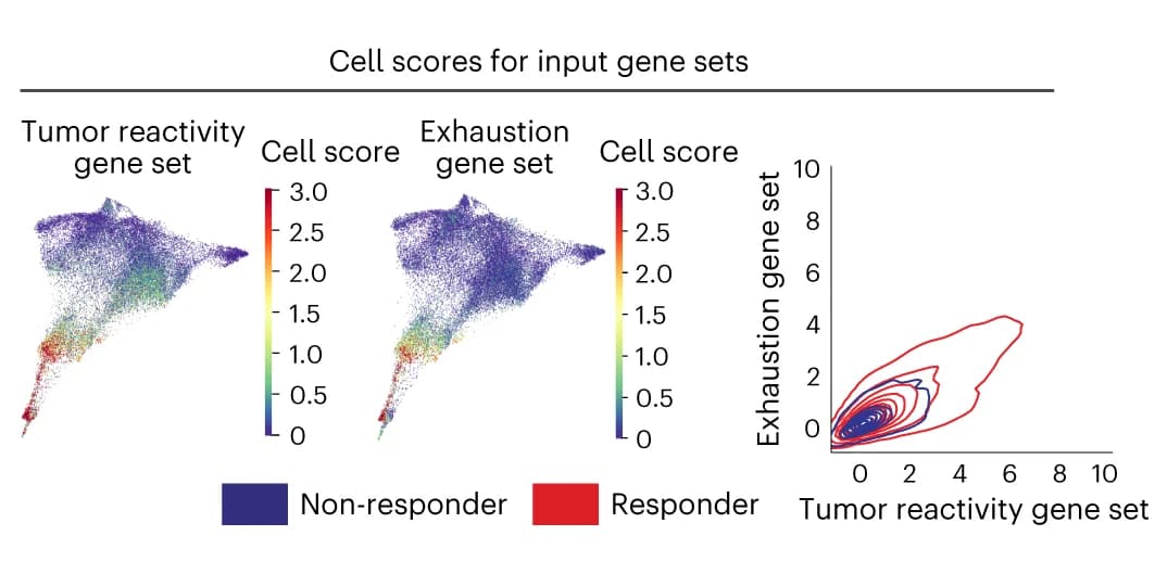 Open access visualization of Scatter Plot, Density Plot, Force-Directed Layout, CD8+ T Cells, Tumor Reactivity