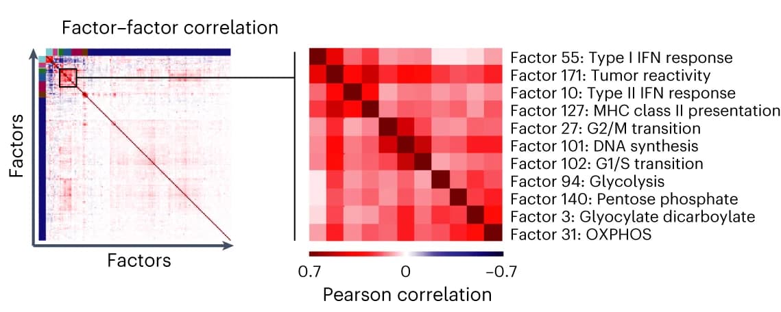 Open access visualization of Heatmap, Clustered, Pearson Coefficients, Cell Scores, Tumor Reactivity