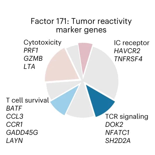 Open access visualization of Pie Chart, Spectra, Genes, Tumor Reactivity, Immune Checkpoint