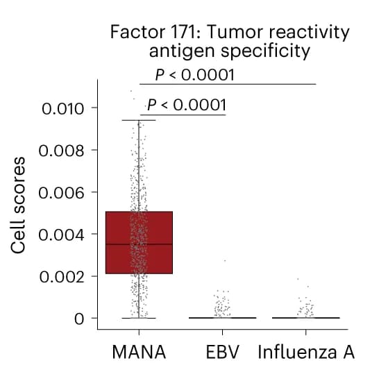 Open access visualization of Box Plot, Scatter Plot, Cell Scores, CD8+ T Cells, Tumor-Infiltrating