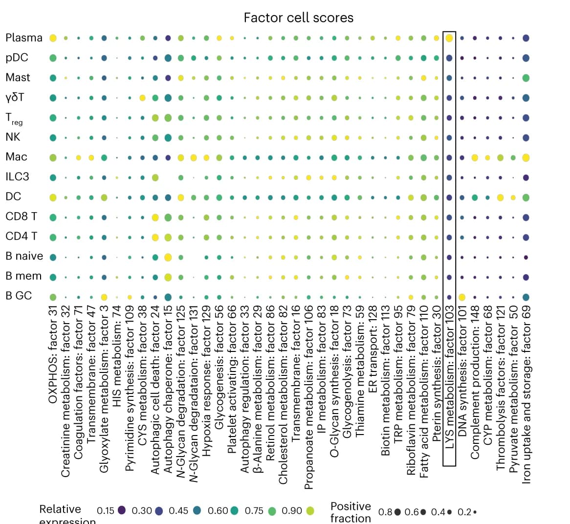 Open access visualization of Bubble Plot, Cell scores, Metabolic factor, Leukocytes, Lysine metabolism