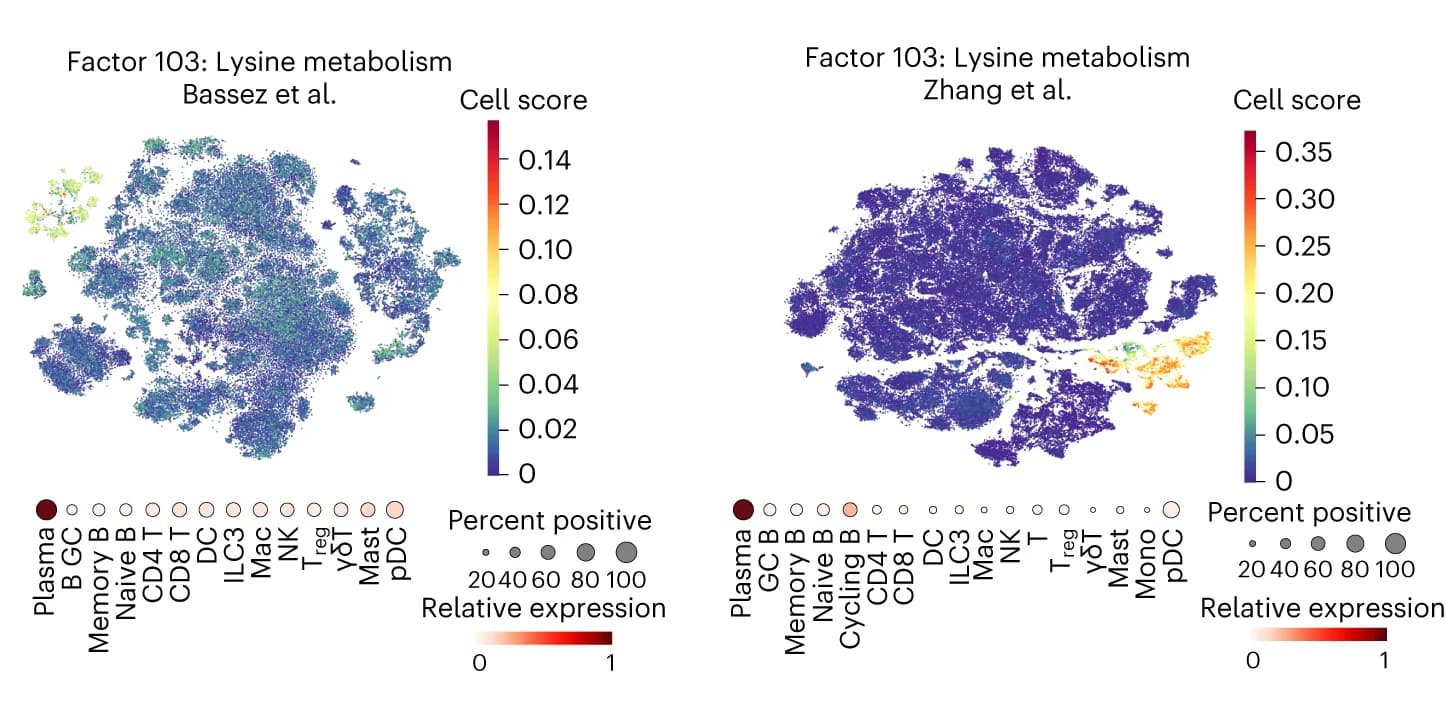 Open access visualization of UMAP, Bubble Plot, t-SNE, TILs, Spectra factor